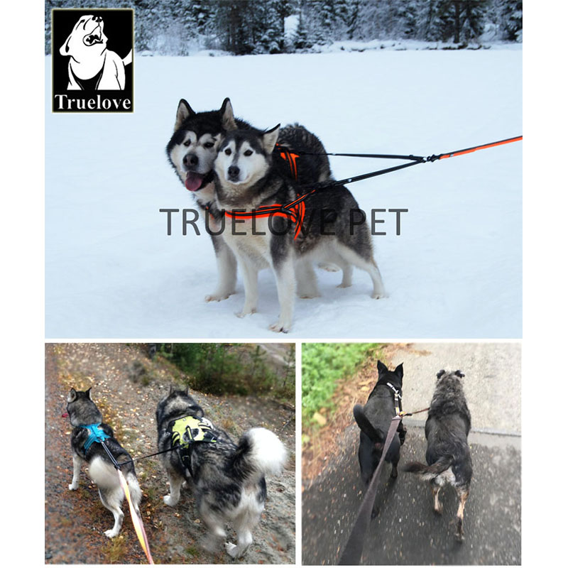 Truelove Nylon Double Dog Leas - Running Gear Dog recension och pris