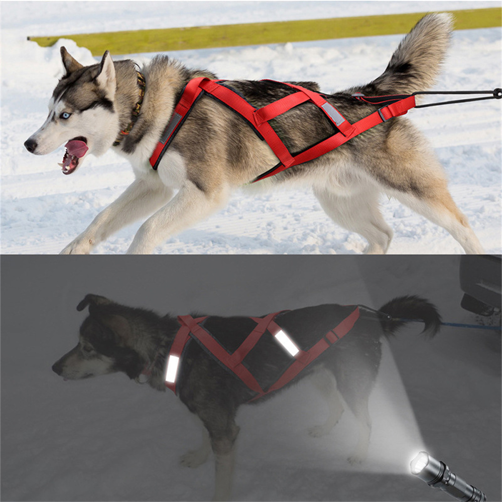 High Quality Big Dog Sledge Ha - Running Gear Dog recension och pris