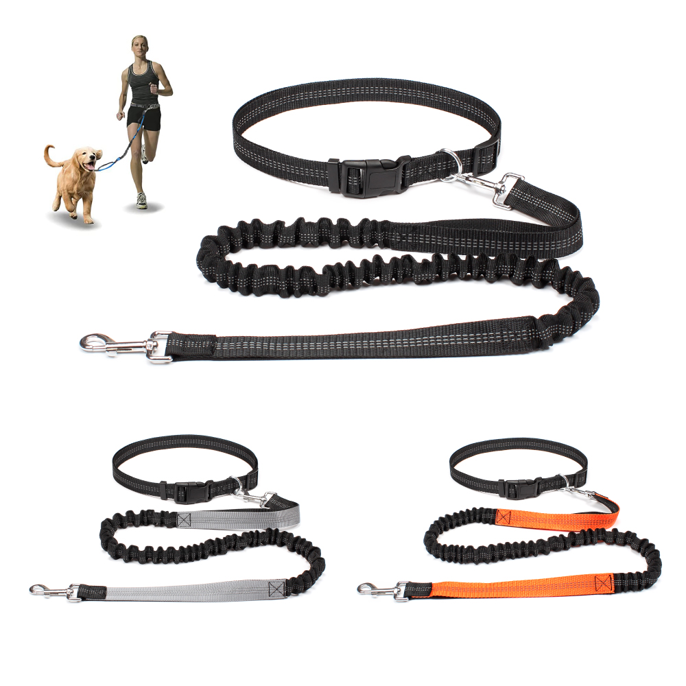 Hand Free Dog Leash for Pet Wa - Running Gear Dog recension och pris