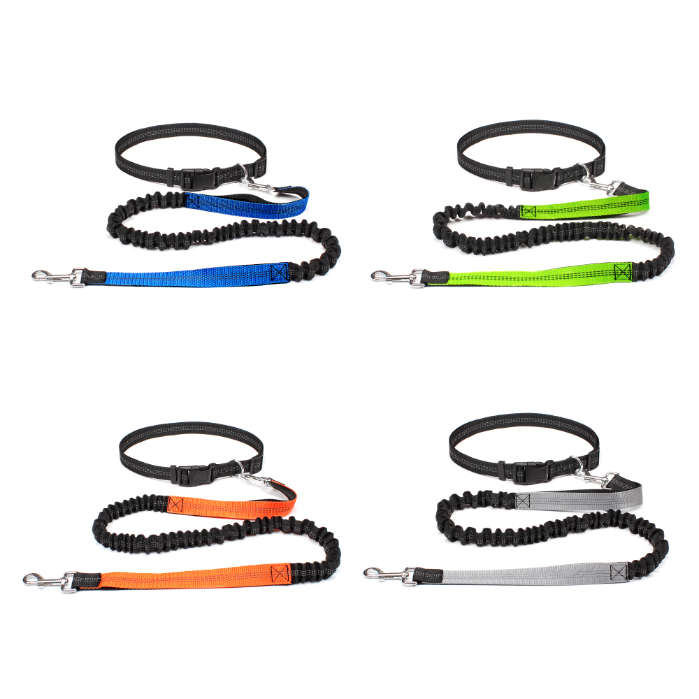 Hand Free Dog Leash for Pet Wa - Running Gear Dog recension och pris