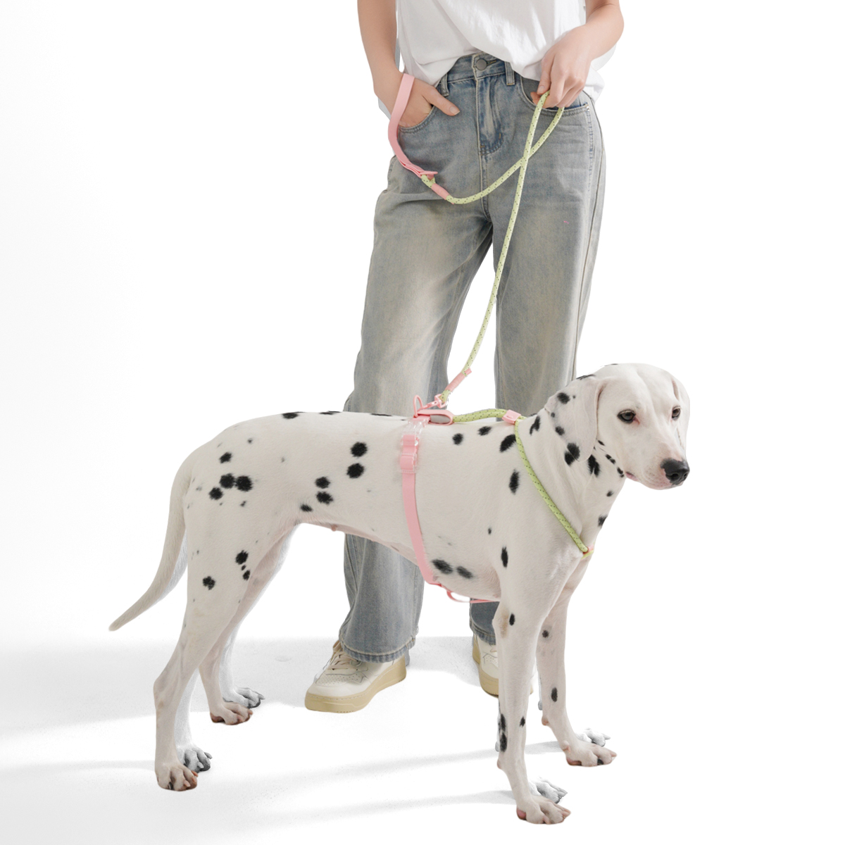 Small And Medium Dogs Harness  - Running Gear Dog recension och pris