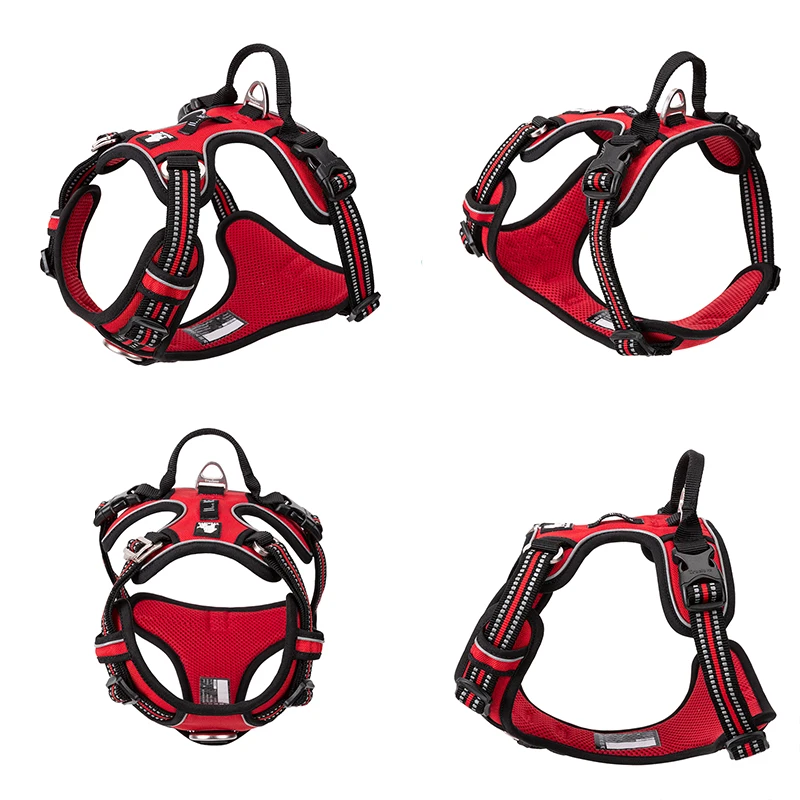 Truelove Pet Reflective Nylon  - Running Gear Dog recension och pris