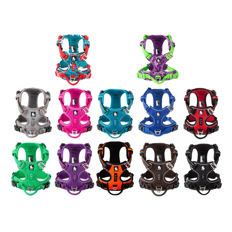 Truelove Pet Reflective Nylon  - Running Gear Dog recension och pris