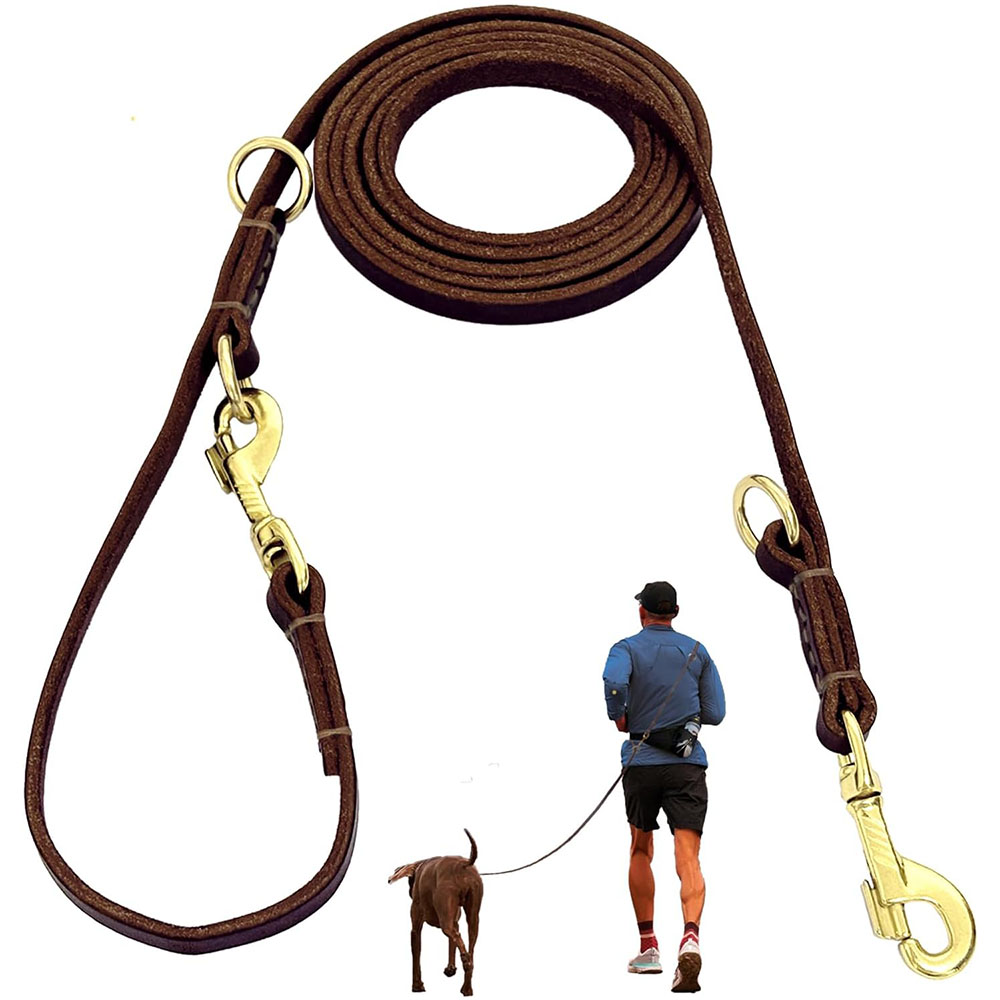 Multi Function Leather Dog Lea - Running Gear Dog recension och pris