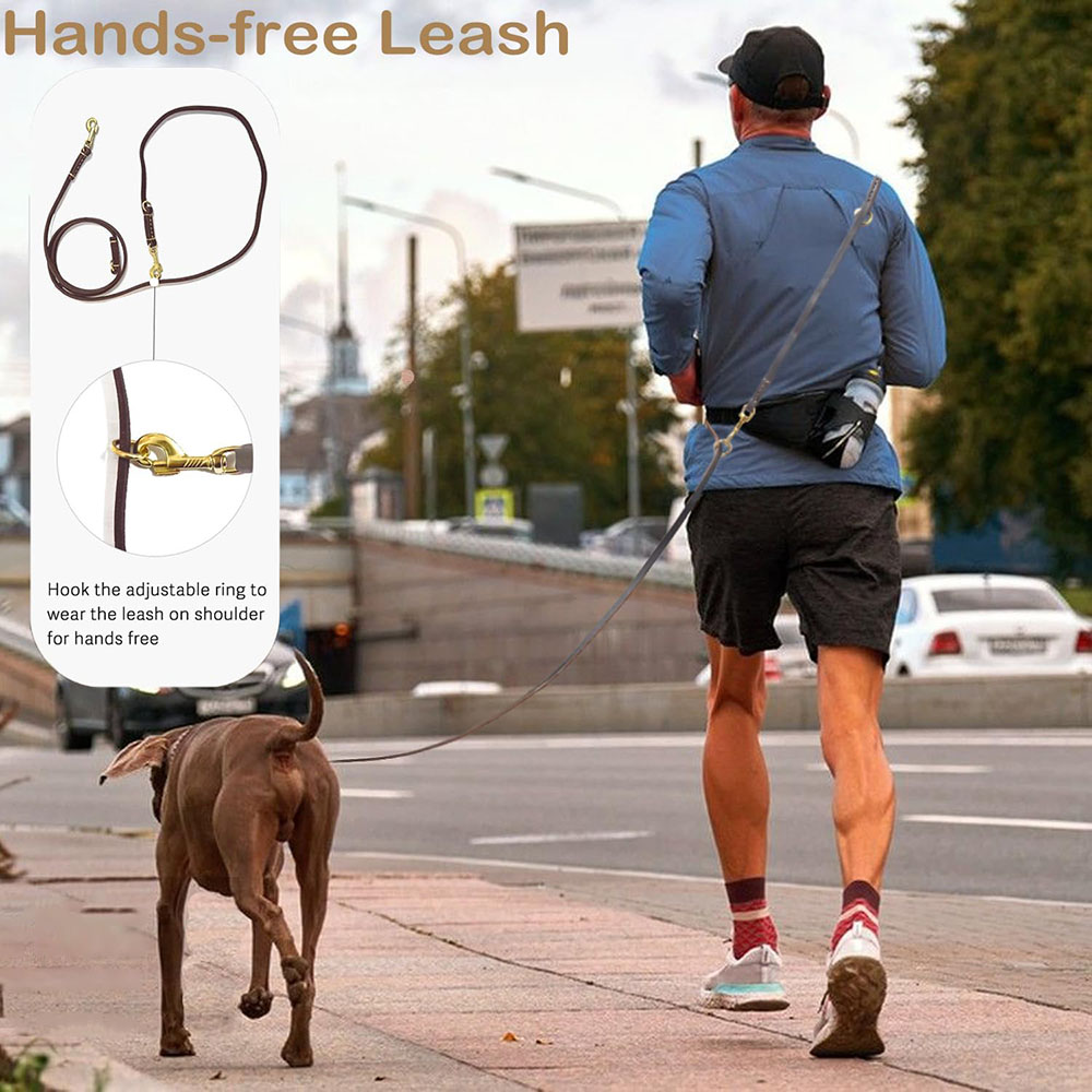 Multi Function Leather Dog Lea - Running Gear Dog recension och pris