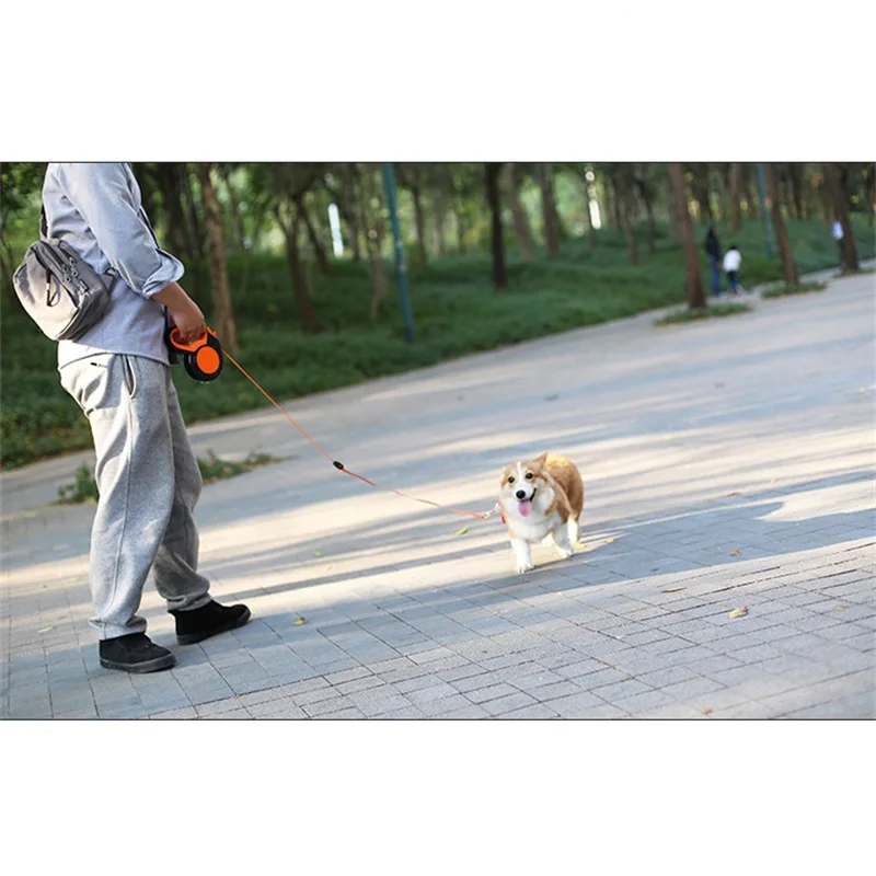 3M/5M/8MRetractable Dog Leash  - Running Gear Dog recension och pris