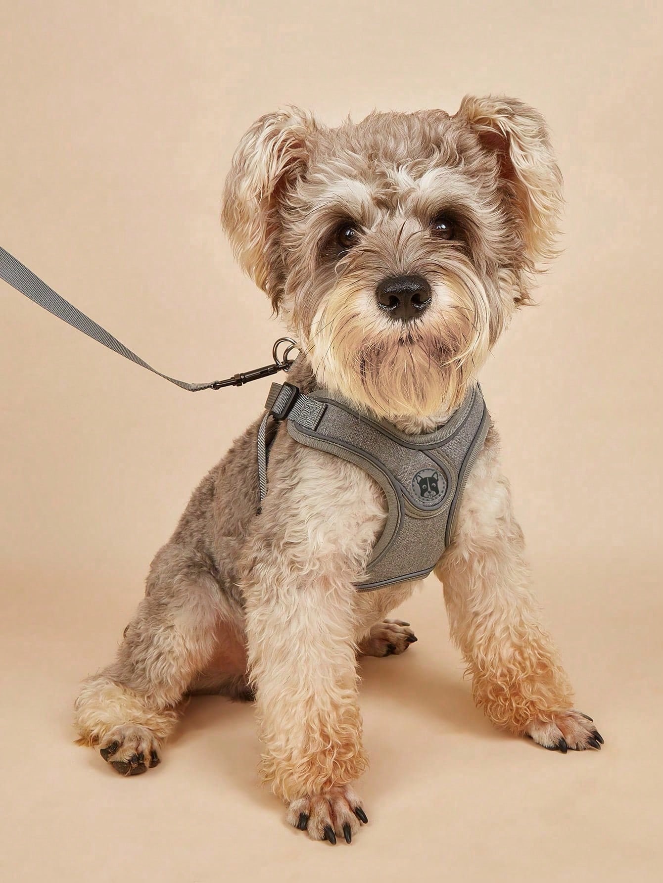 Dog Harness for Small Medium D - Running Gear Dog recension och pris