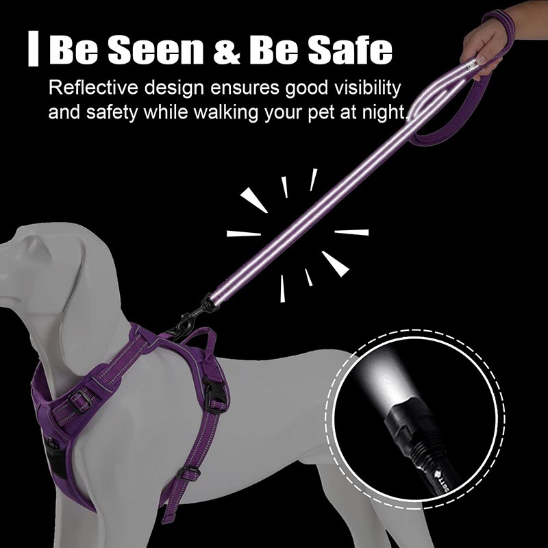 Truelove 200Cm Nylon Dog Lead  - Running Gear Dog recension och pris
