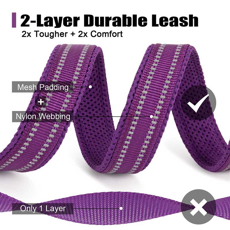 Truelove 200Cm Nylon Dog Lead  - Running Gear Dog recension och pris