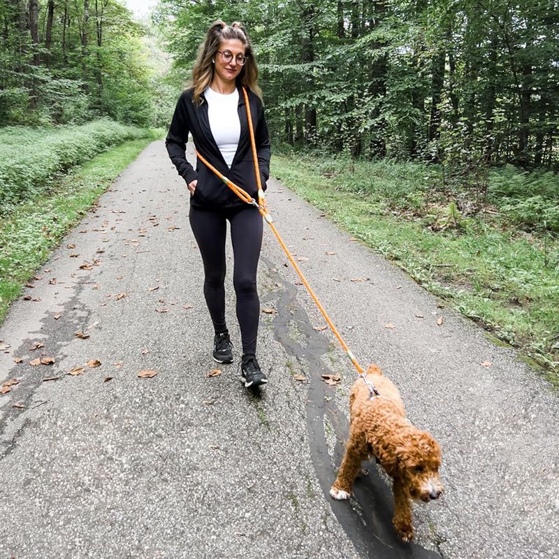 Reflective Hands-Free Dog Leas - Running Gear Dog recension och pris