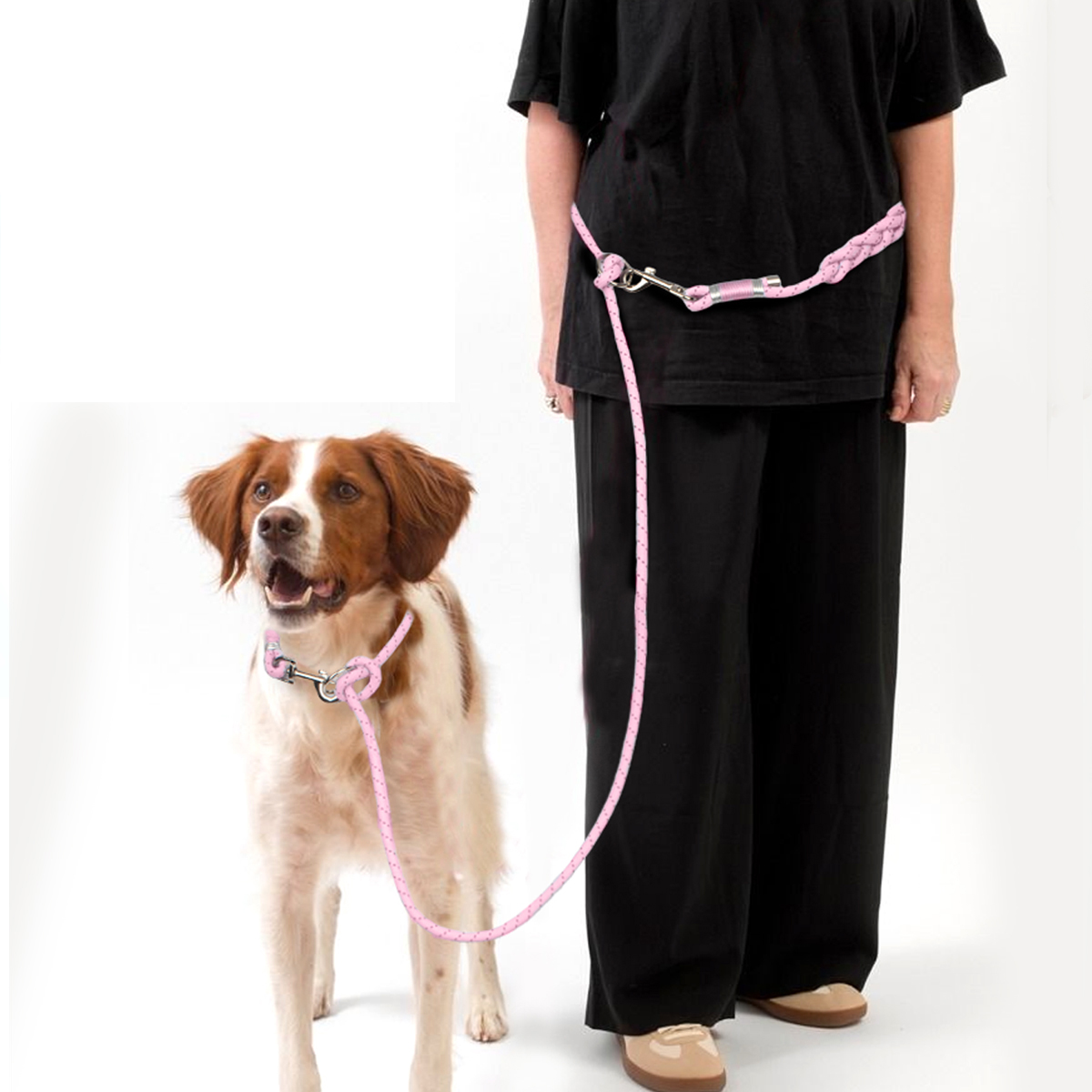 Pet Dog Leashes Adjustable Fre - Running Gear Dog recension och pris
